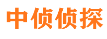 滨海新区市侦探调查公司